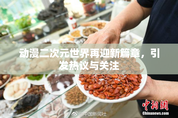 动漫二次元世界再迎新篇章，引发热议与关注