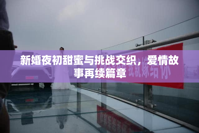 新婚夜初甜蜜与挑战交织，爱情故事再续篇章
