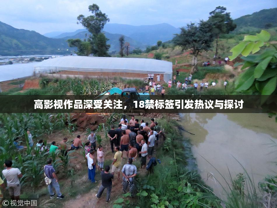 高影视作品深受关注，18禁标签引发热议与探讨