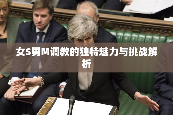 女S男M调教的独特魅力与挑战解析