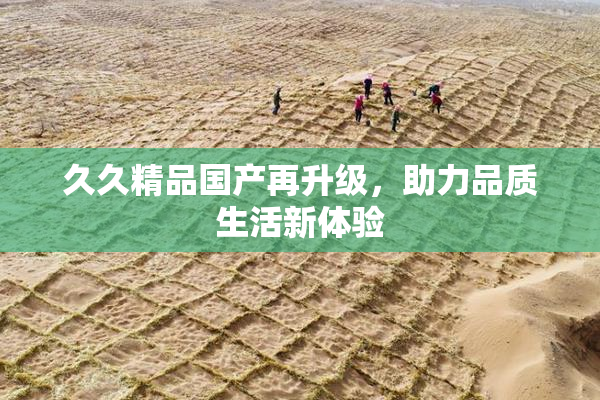 久久精品国产再升级，助力品质生活新体验