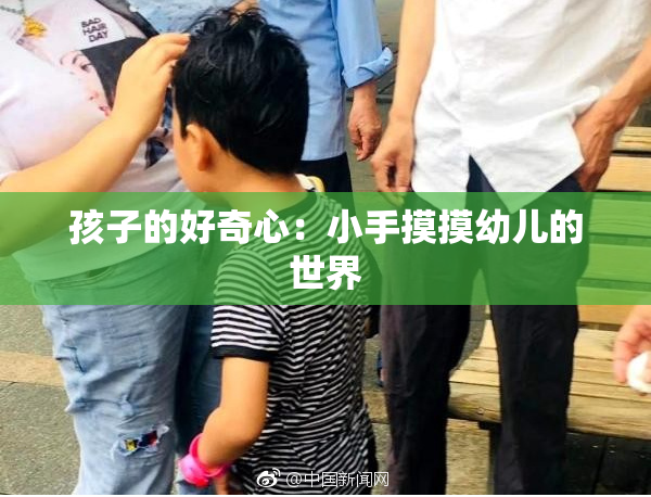 孩子的好奇心：小手摸摸幼儿的世界