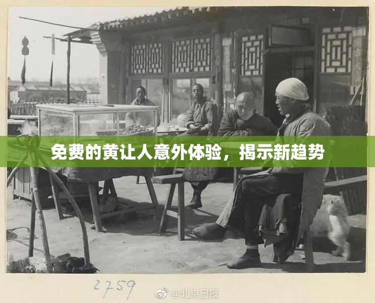 免费的黄让人意外体验，揭示新趋势