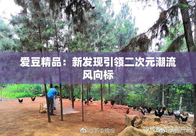 爱豆精品：新发现引领二次元潮流风向标