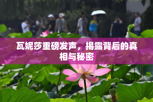 瓦妮莎重磅发声，揭露背后的真相与秘密