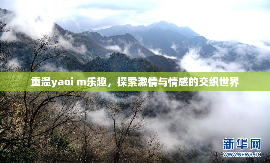 重温yaoi m乐趣，探索激情与情感的交织世界