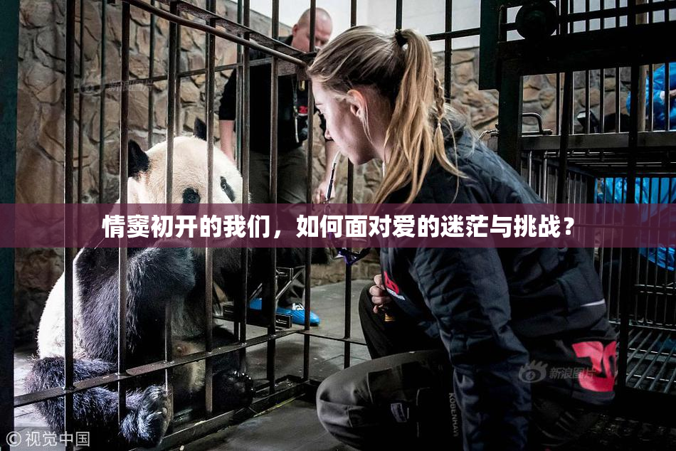 情窦初开的我们，如何面对爱的迷茫与挑战？
