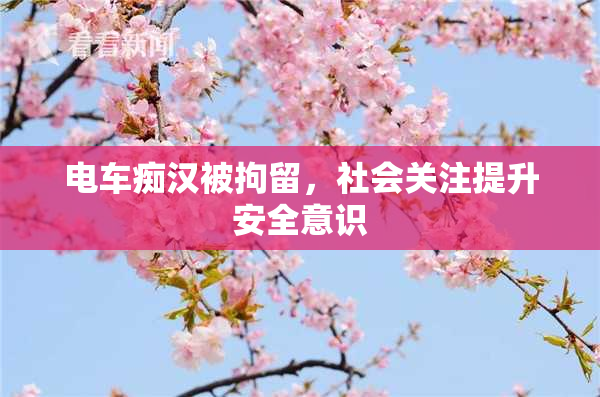 电车痴汉被拘留，社会关注提升安全意识
