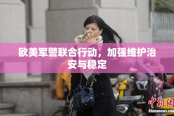 欧美军警联合行动，加强维护治安与稳定