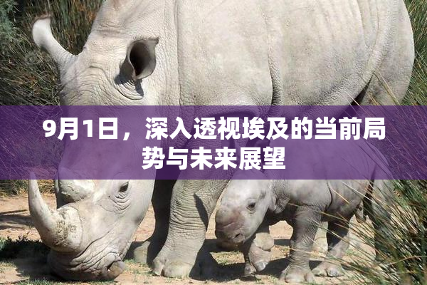 9月1日，深入透视埃及的当前局势与未来展望