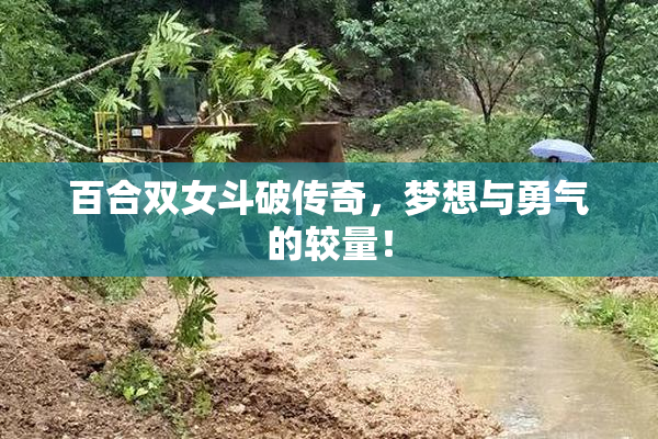 百合双女斗破传奇，梦想与勇气的较量！