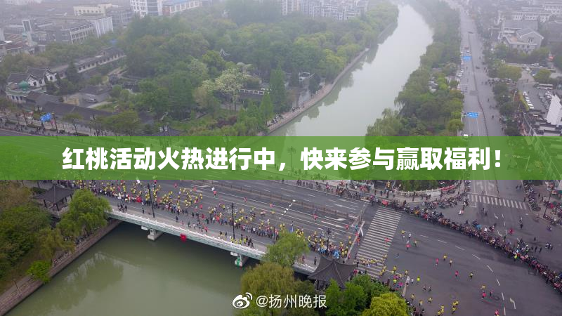 红桃活动火热进行中，快来参与赢取福利！