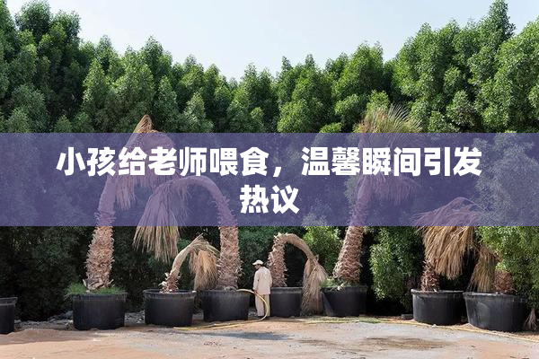 小孩给老师喂食，温馨瞬间引发热议
