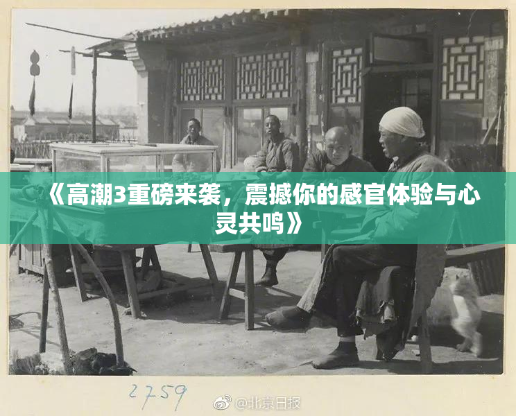 《高潮3重磅来袭，震撼你的感官体验与心灵共鸣》
