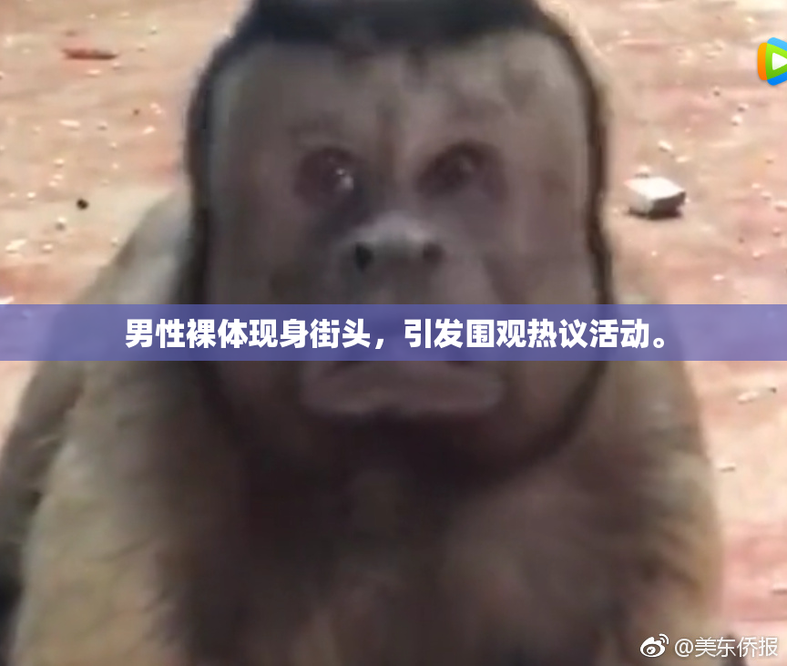 男性裸体现身街头，引发围观热议活动。