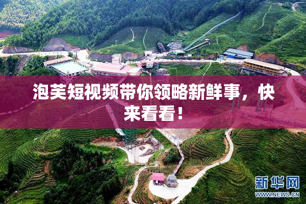 泡芙短视频带你领略新鲜事，快来看看！