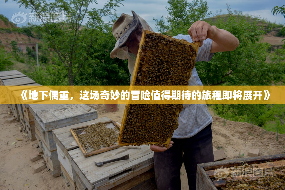 《地下偶重，这场奇妙的冒险值得期待的旅程即将展开》