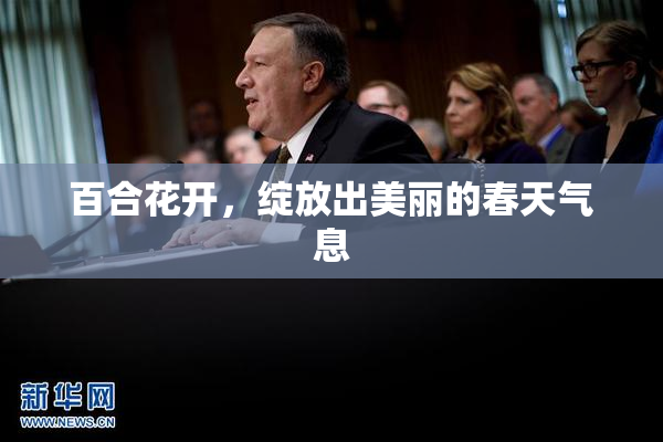 百合花开，绽放出美丽的春天气息