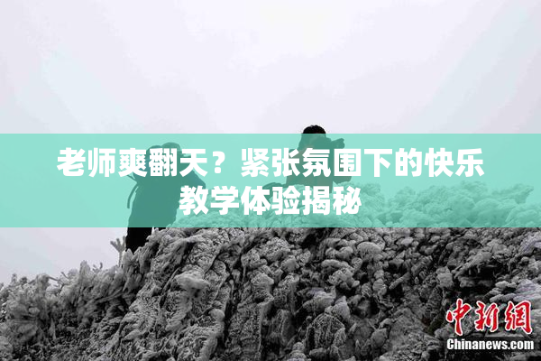 老师爽翻天？紧张氛围下的快乐教学体验揭秘