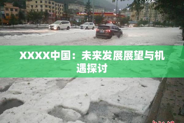 XXXX中国：未来发展展望与机遇探讨