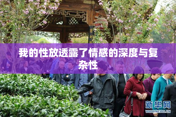 我的性放透露了情感的深度与复杂性