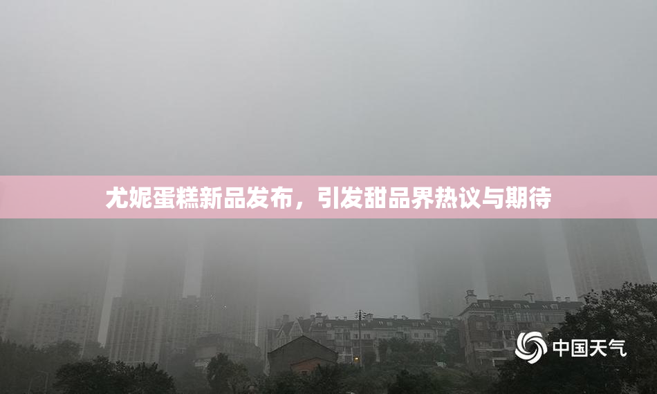 尤妮蛋糕新品发布，引发甜品界热议与期待