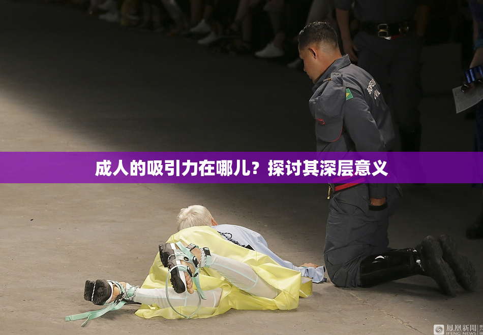 成人的吸引力在哪儿？探讨其深层意义