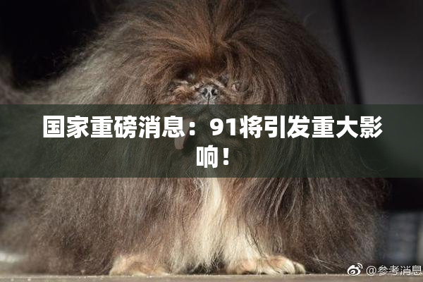 国家重磅消息：91将引发重大影响！