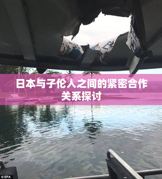 日本与子伦人之间的紧密合作关系探讨