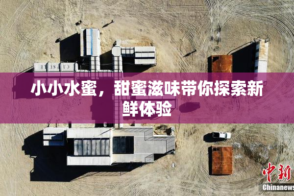 小小水蜜，甜蜜滋味带你探索新鲜体验