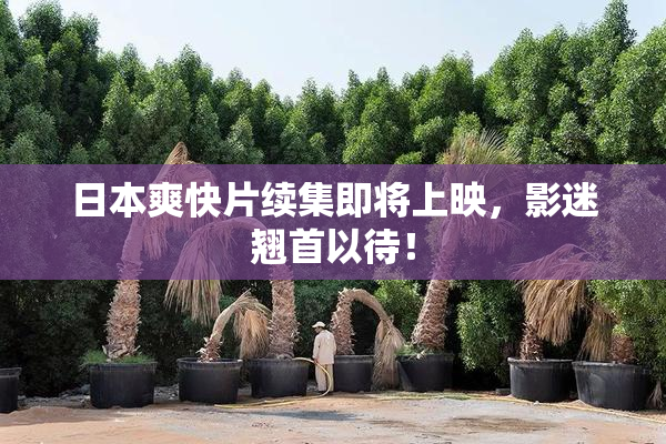 日本爽快片续集即将上映，影迷翘首以待！
