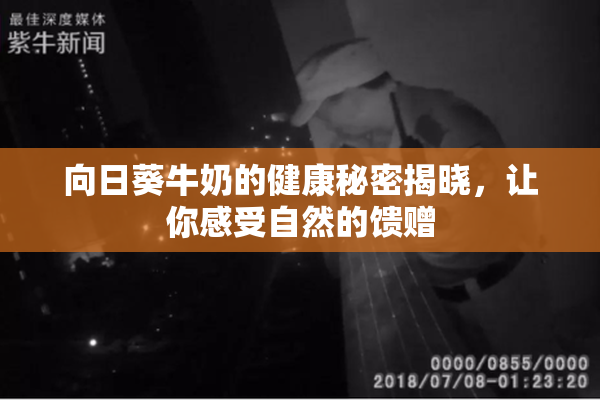 向日葵牛奶的健康秘密揭晓，让你感受自然的馈赠