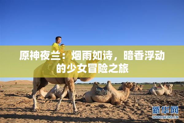 原神夜兰：烟雨如诗，暗香浮动的少女冒险之旅
