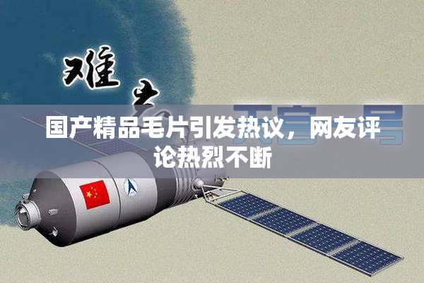 国产精品毛片引发热议，网友评论热烈不断