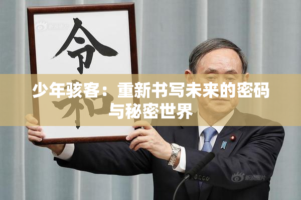 少年骇客：重新书写未来的密码与秘密世界