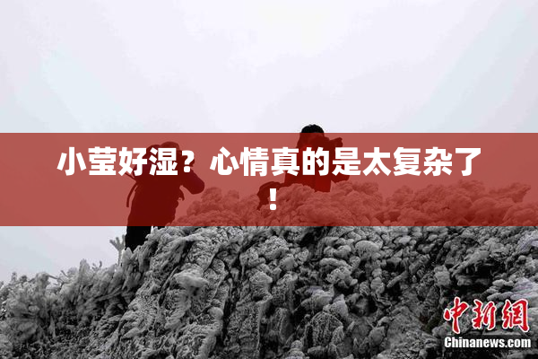 小莹好湿？心情真的是太复杂了！