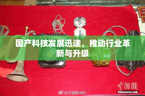 国产科技发展迅速，推动行业革新与升级
