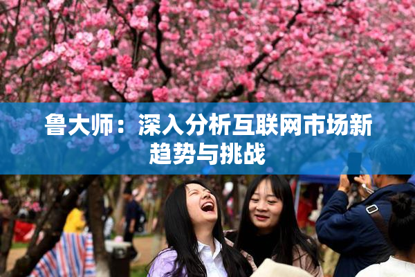 鲁大师：深入分析互联网市场新趋势与挑战
