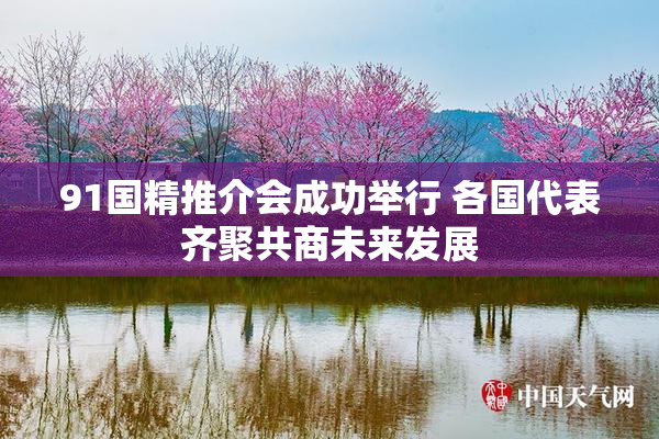 91国精推介会成功举行 各国代表齐聚共商未来发展
