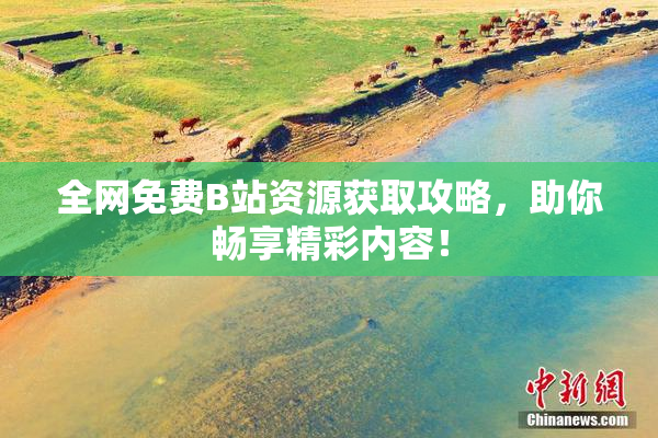 全网免费B站资源获取攻略，助你畅享精彩内容！