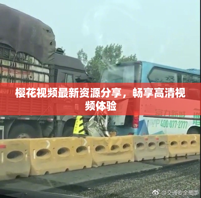 樱花视频最新资源分享，畅享高清视频体验