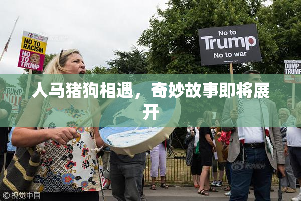 人马猪狗相遇，奇妙故事即将展开