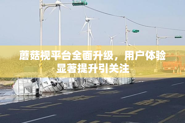 蘑菇视平台全面升级，用户体验显著提升引关注