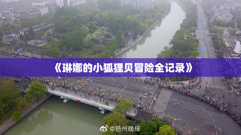 《琳娜的小狐狸贝冒险全记录》