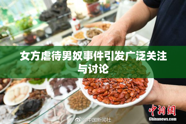 女方虐待男奴事件引发广泛关注与讨论