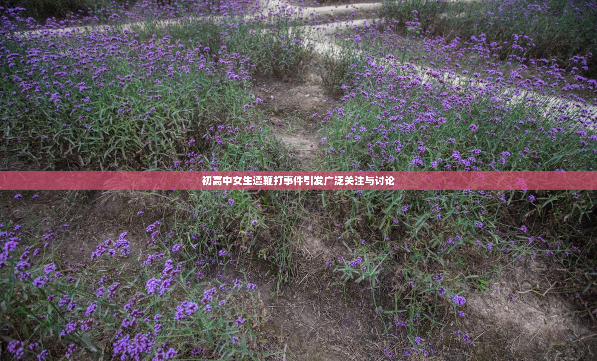 初高中女生遭鞭打事件引发广泛关注与讨论