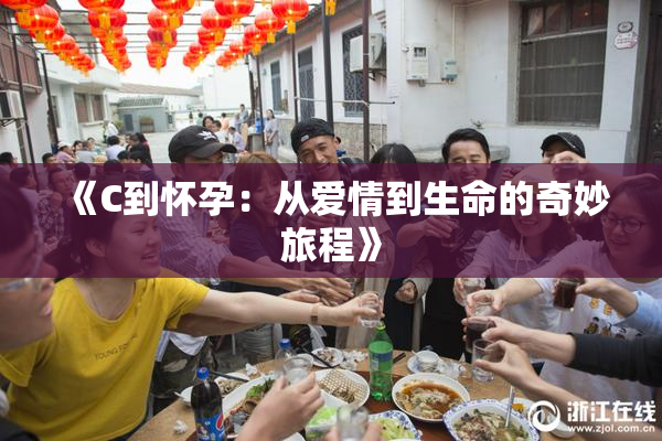 《C到怀孕：从爱情到生命的奇妙旅程》