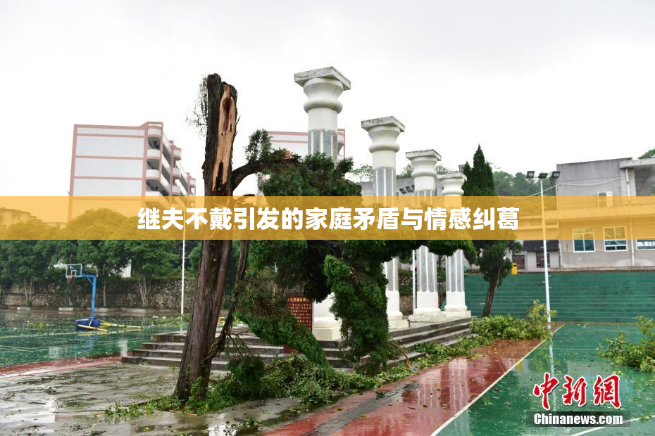 继夫不戴引发的家庭矛盾与情感纠葛