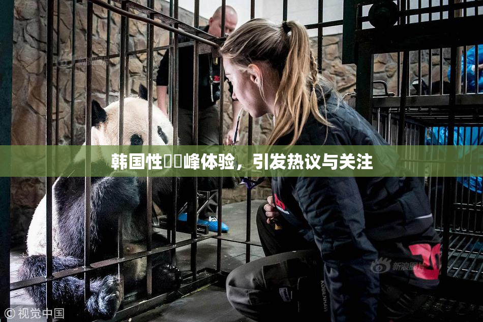韩国性愛巔峰体验，引发热议与关注
