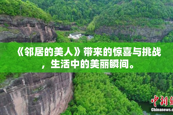 《邻居的美人》带来的惊喜与挑战，生活中的美丽瞬间。